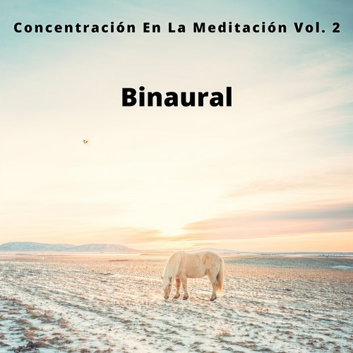 Binaural: Concentración En La Meditación Vol. 2