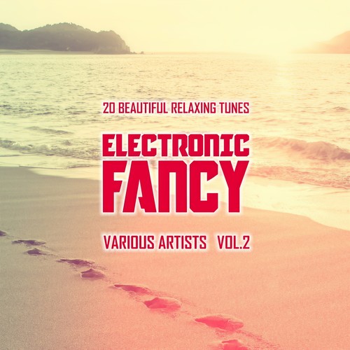 Electronic Fancy (20 Beautiful Relaxing Tunes) , Vol. 2