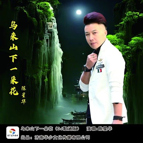 乌来山下一朵花(翻唱)