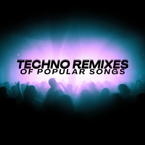 Techno Remixes of Popular Songs (Explicit)