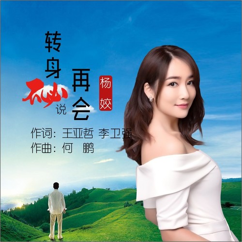转身不必说再会(DJ何鹏版)