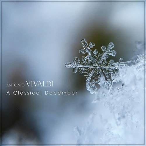 A Classical December: Vivaldi