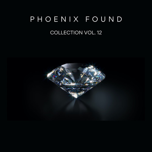 Phoenix Found Collection Vol. 12