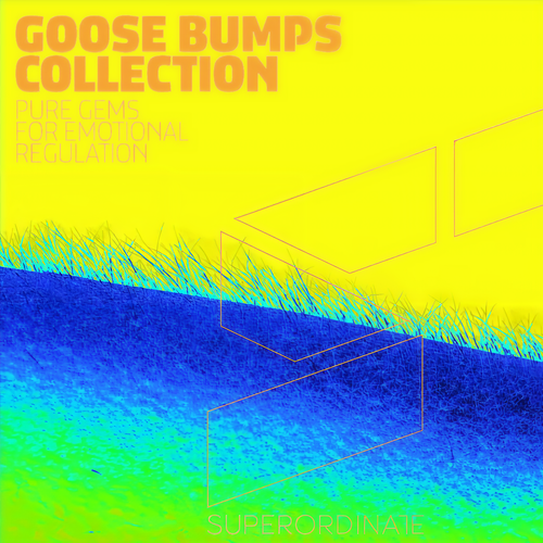 Goose Bumps Collection, Vol. 6