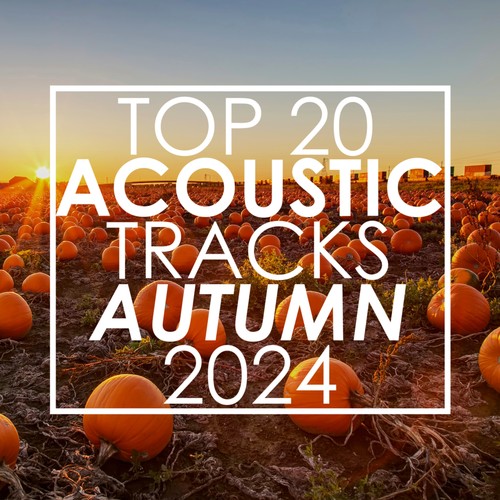 Top 20 Acoustic Tracks Autumn 2024 (Instrumental)