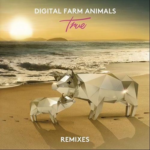 True (Remixes)