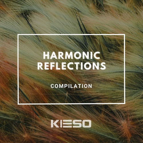 Harmonic Reflections