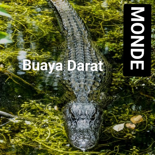 Buaya Darat (Remastered 2024)