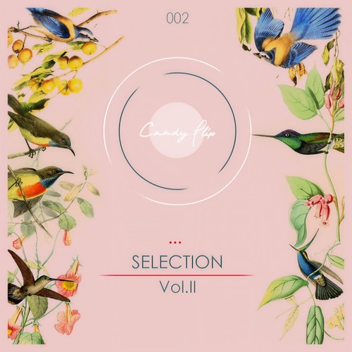 Candy Flip Presents Selection Vol.2