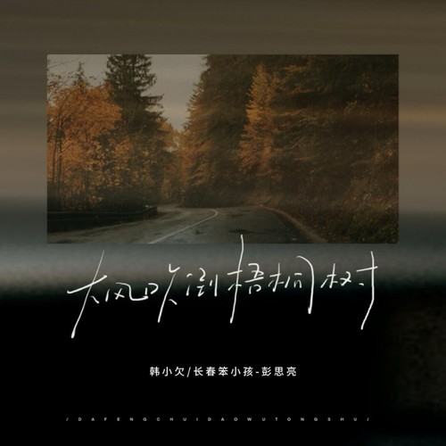 大风吹倒梧桐树