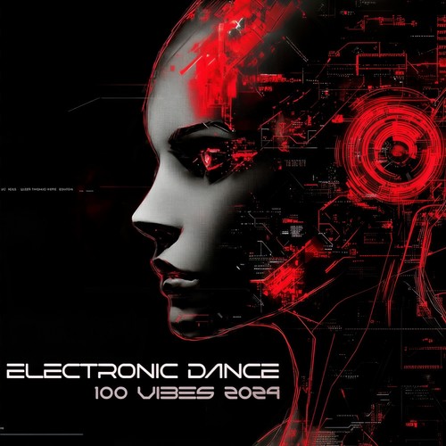 Electronic Dance 100 Vibes 2024