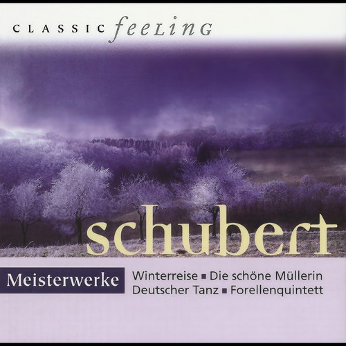 Classic Feeling: Meisterwerke Schubert