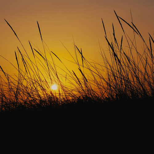 Resplandecer