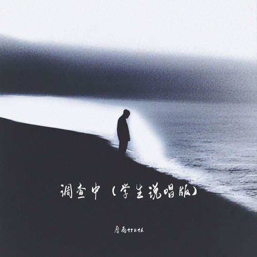 调查中 (学生说唱版)