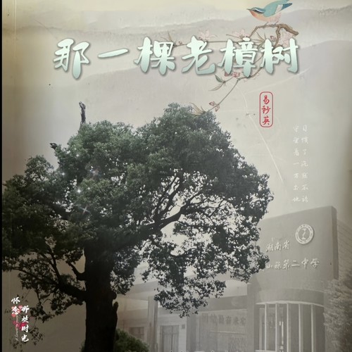那一棵老樟树