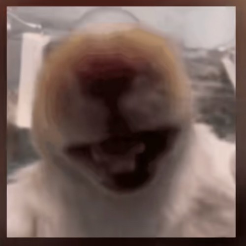 红狼小曲