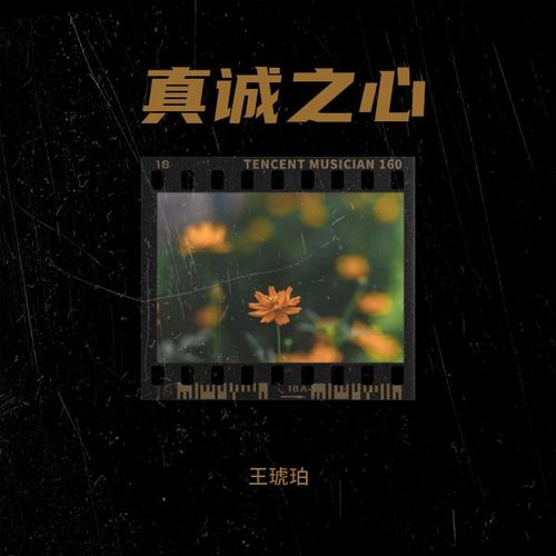 真诚之心