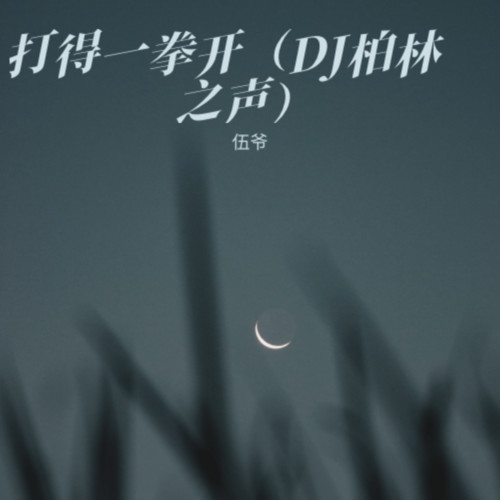 打得一拳开（DJ柏林之声）