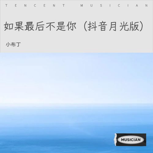 如果最后不是你（抖音月光版）