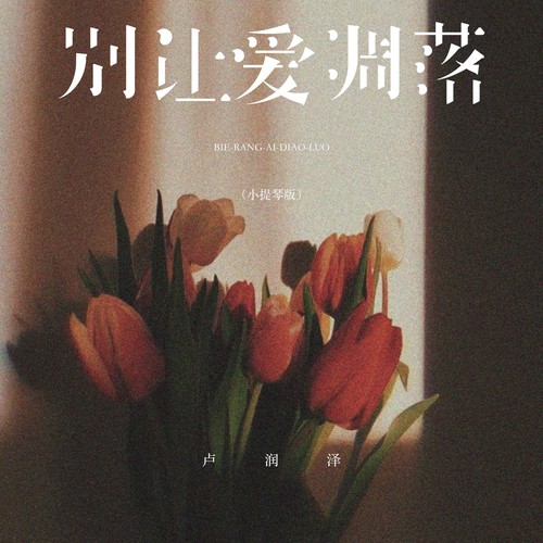 别让爱凋落（小提琴版）