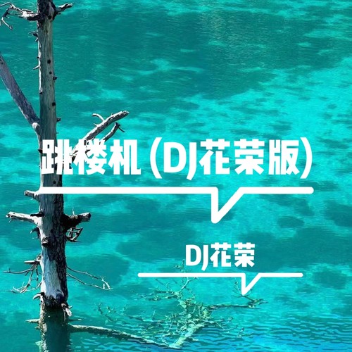 跳楼机 (DJ花荣版)