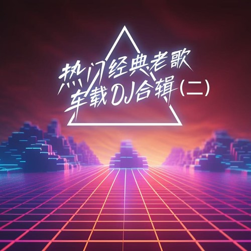 热门经典老歌车载DJ合辑(二)