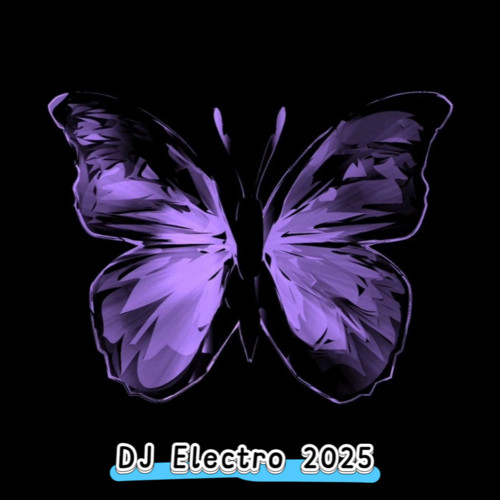 DJ Electro 2025