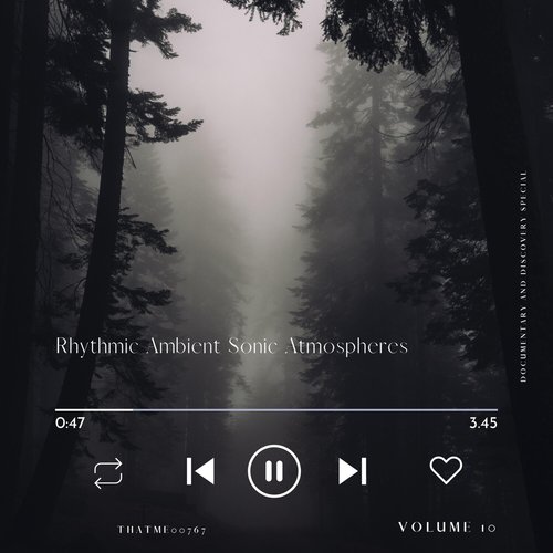 Rhythmic Ambient Sonic Atmospheres - Documentary and Discovery Special, Vol. 10