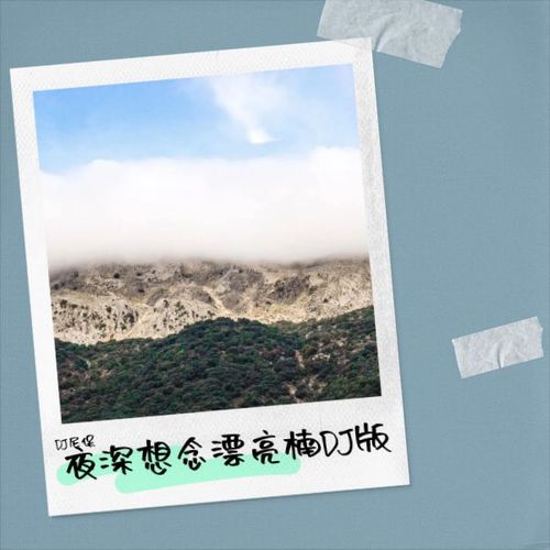 夜深想念漂亮楠DJ版