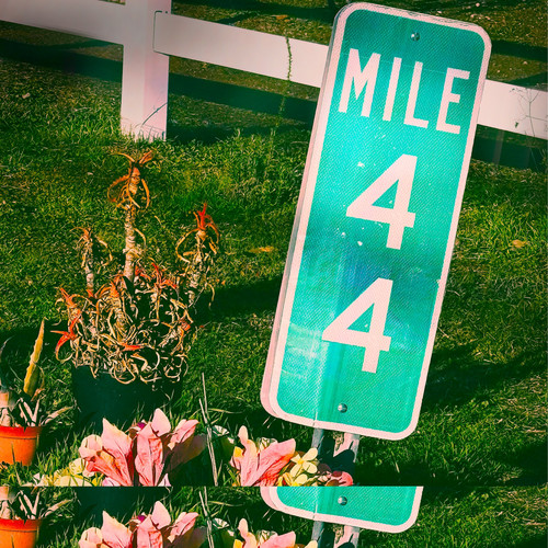Mile 44
