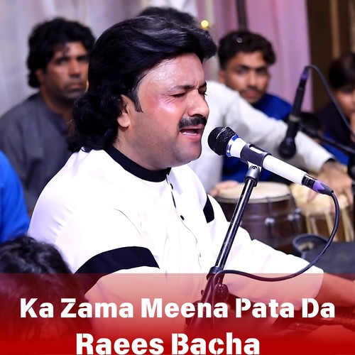 Ka Zama Meena Pata Da