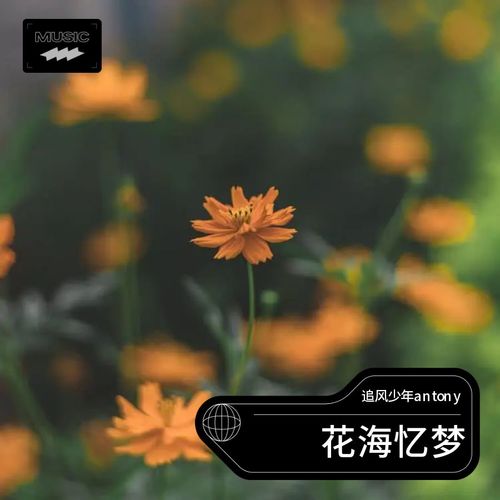 花海忆梦