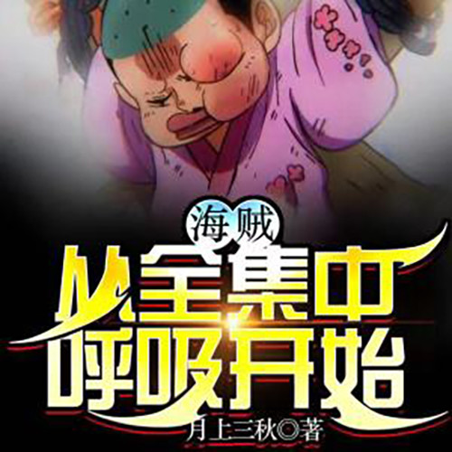 海贼从全集中呼吸开始