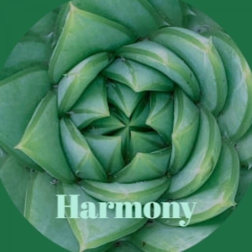 Harmony