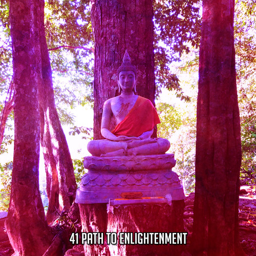 41 Path To Enlightenment