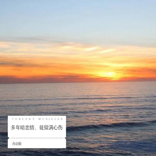 多年暗恋情，徒留满心伤