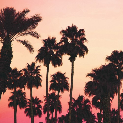 VICE CITY