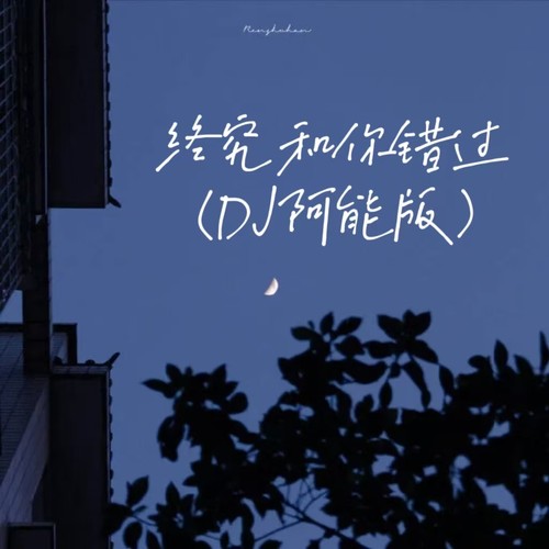 终究和你错过(DJ阿能版)