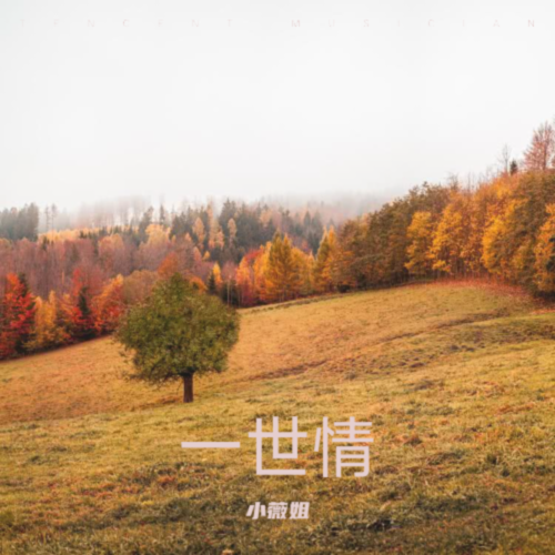 一世情