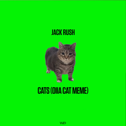 Cats (OIIA Cat Meme)