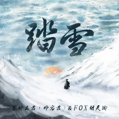 踏雪(DJ沈念版) - 邓寓君(等什么君)