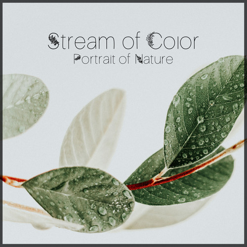 Stream of Color