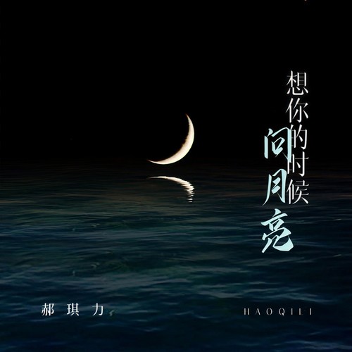 想你的时候问月亮(DJ九零版)