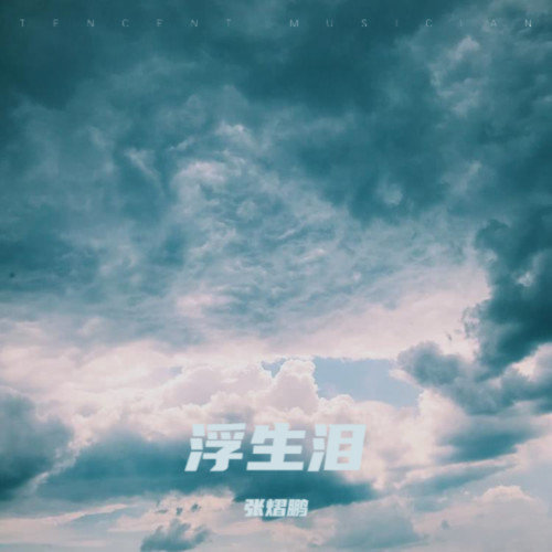 浮生泪