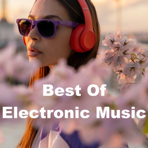 Best Of Electronic Music (Explicit)