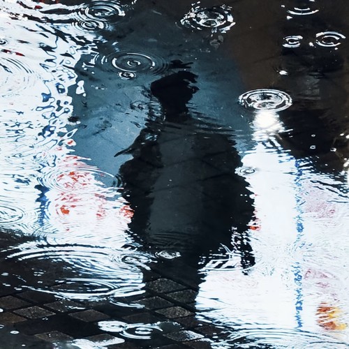 请问小雨谁带我追寻