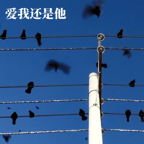 我许愿希望不要再有短暂出现的人