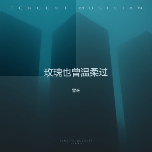 玫瑰也曾温柔过