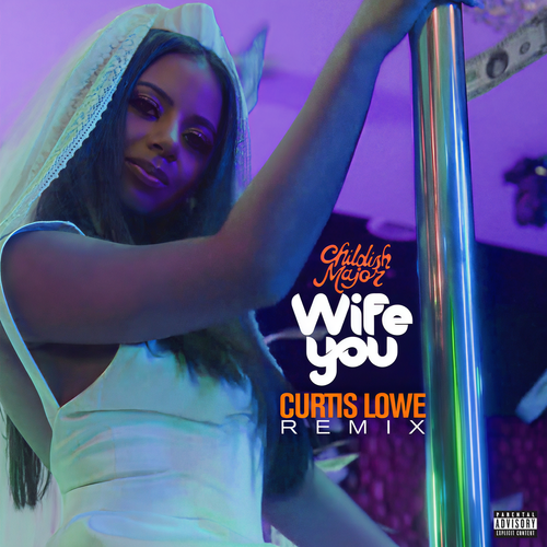 Wife You (Curtis Lowe Remix) [Explicit]