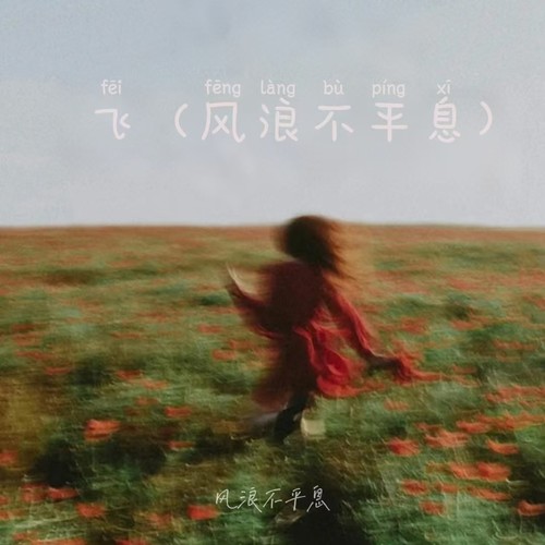 飞